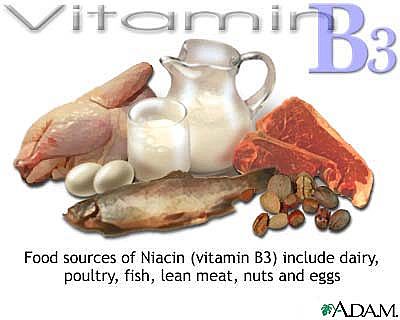 pengertian vitamin b3 - sumber vitamin b3